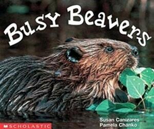 Busy Beavers by Pamela Chanko, Susan Cañizares