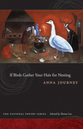 If Birds Gather Your Hair for Nesting by Anna Journey