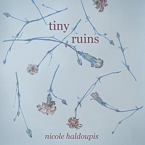 Tiny Ruins by Nicole Haldoupis