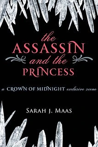 The Assassin and the Captain by Sarah J. Maas