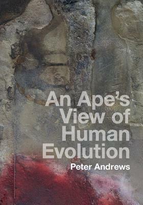 An Ape's View of Human Evolution by Peter Andrews