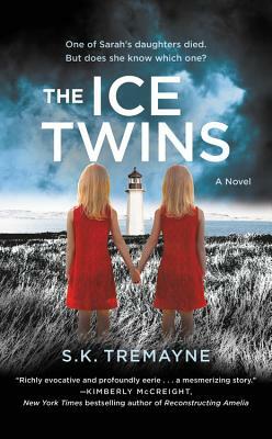 The Ice Twins by S.K. Tremayne