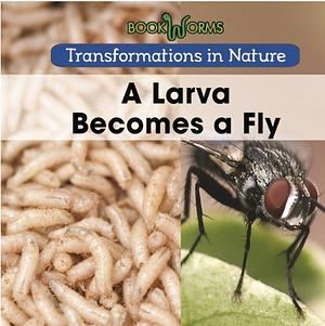 A Larva Becomes a Fly by Amy Hayes