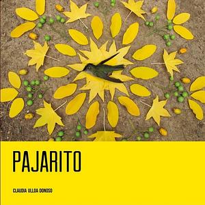Pajarito by Claudia Ulloa Donoso