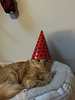 mobyd676's profile picture