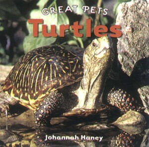 Turtles by Johannah Haney