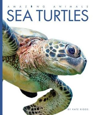 Amazing Animals Sea Turtles by Kate Riggs