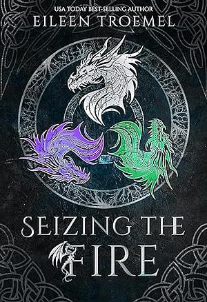 Seizing the Fire by Eileen Troemel