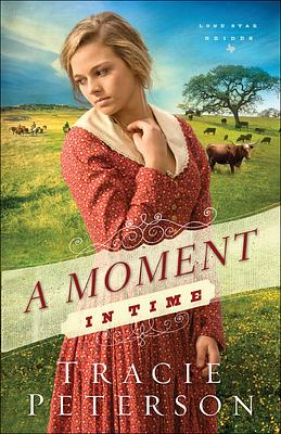 A Moment in Time by Tracie Peterson