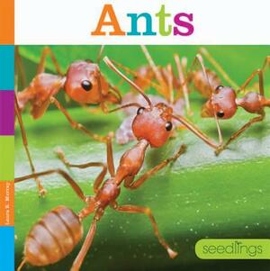 Ants by Laura K. Murray