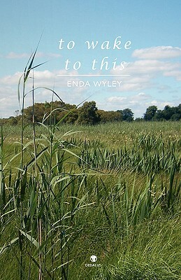 To Wake to This by Enda Wyley
