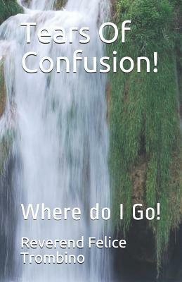 Tears of Confusion!: Where Do I Go! by Reverend Felice Trombino