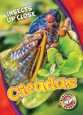 Cicadas by Christina Leaf