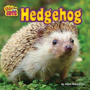 Hedgehog by Joyce Markovics