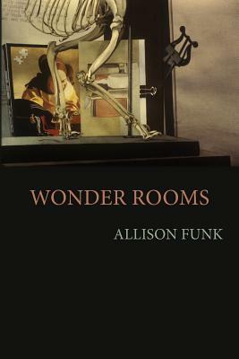 Wonder Rooms by Allison Funk