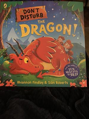 Don't Disturb the Dragon by Rhiannon Findlay