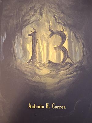 13 by Antonio H. Correa