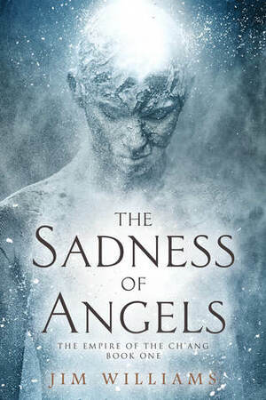The Sadness of Angels by Jim Williams