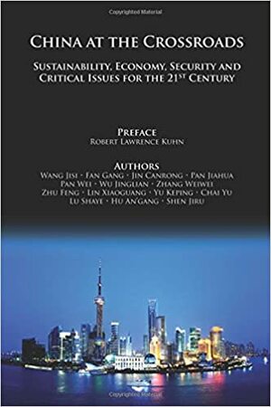 China at the Crossroads: Sustainability, Economy, Security, and Critical Issues for the 21st Century by Wang Jisi, Robert Lawrence Kuhn