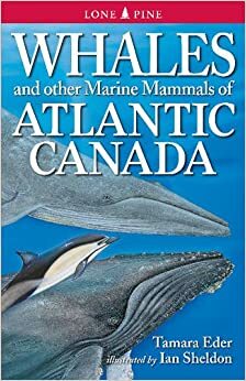 Whales and Other Marine Mammals of Atlantic Canada by Tamara Eder