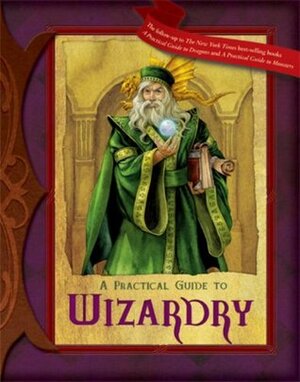 A Practical Guide to Wizardry by Susan J. Morris