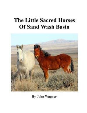 Little Sacred Horses of Sand Wash Basin by John A. Wagner