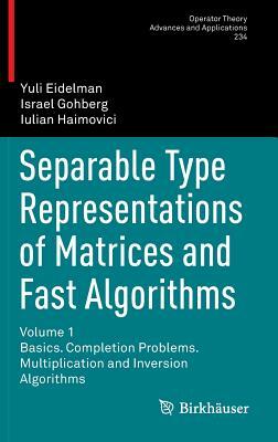 Separable Type Representations of Matrices and Fast Algorithms: Volume 1 Basics. Completion Problems. Multiplication and Inversion Algorithms by Iulian Haimovici, Israel Gohberg, Yuli Eidelman