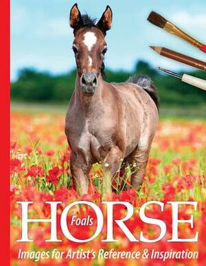 Foals: Horse Images for Artist's Reference and Inspiration by Sarah Tregay