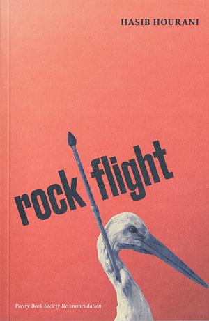 Rock Flight by Hasib Hourani