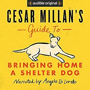 Cesar Millan's Guide to Bringing Home a Shelter Dog by Cesar Millan