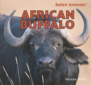 African Buffalo by Maddie Gibbs