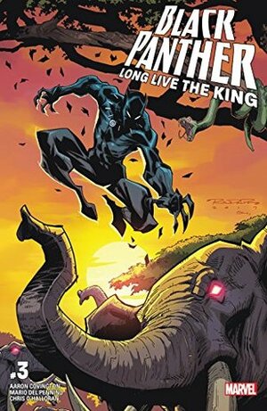 Black Panther: Long Live the King #3 by Aaron Covington