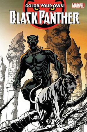 Color Your Own Black Panther by Chris Sprouse, Brian Stelfreeze, Jack Kirby