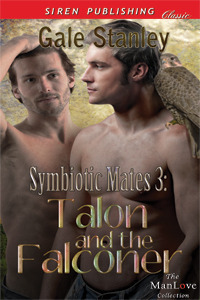 Talon and the Falconer by Gale Stanley