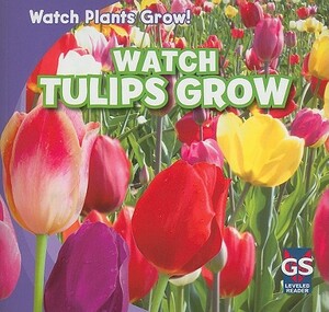 Watch Tulips Grow by Kristen Rajczak