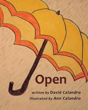 Open by David Calandro