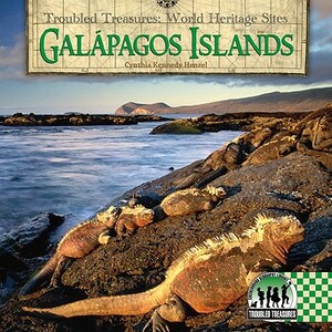 Galapagos Islands by Cynthia Kennedy Henzel