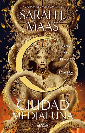 Casa de Flama  y Sombra by Sarah J. Maas