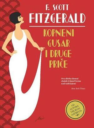 Kopneni gusar i druge priče by F. Scott Fitzgerald