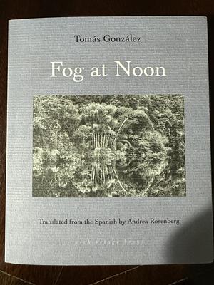 Fog at Noon by Tomás González