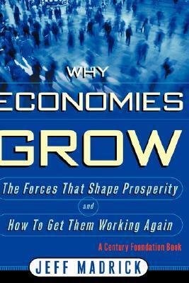 Why Economies Grow by Jeffrey Madrick
