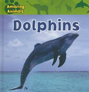 Dolphins by Sarah Albee