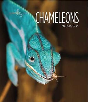 Chameleons by Melissa Gish