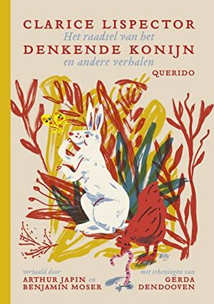 Het raadsel van het denkende konijn en andere verhalen by Clarice Lispector