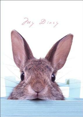 Sneaky Bunny [With Lock, 2 Keys] by New Holland Publishers