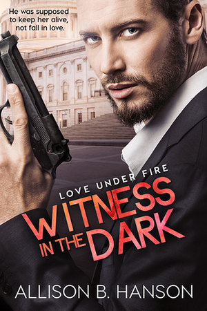 Witness in the Dark by Allison B. Hanson