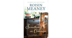 Something in Common by Roisin Meaney