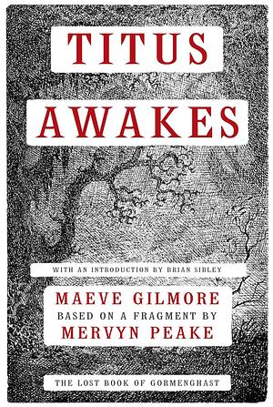 Titus Awakes: The Lost Book of Gormenghast by Mervyn Peake, Maeve Gilmore