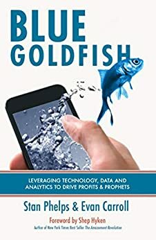 Blue Goldfish: Using Technology, Data, and Analytics to Drive Both Profits and Prophets by Evan Carroll