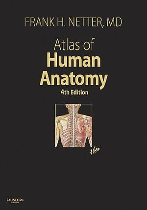 Atlas of Human Anatomy, 4th Edition by Frank H. Netter, Frank H. Netter